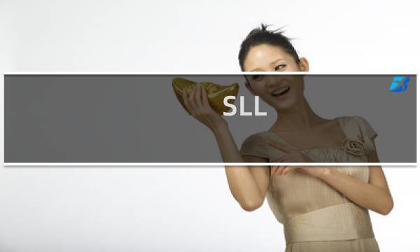 SLL  认证遇到问题  请看看是什么原因呢