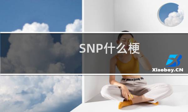 SNP什么梗