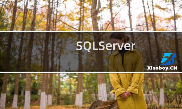 SQLServer（2000 Personal 个人中文版图文安装详细教程）