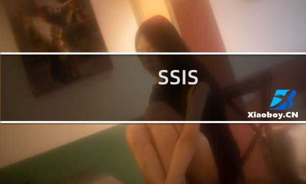 SSIS 处理错误的方法