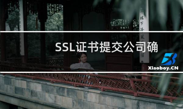 SSL证书提交公司确认函以后多长时间能审核