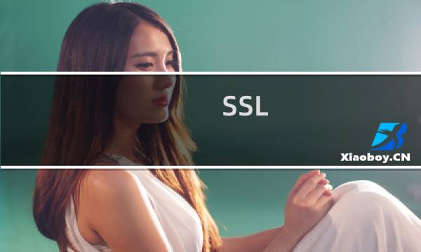SSL 证书 通不过安全检测