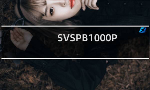 SVSPB1000Pro和SB1000Pro低音炮评测