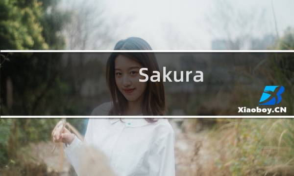 Sakura 街霸 攻略