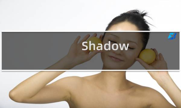 Shadow Tower攻略