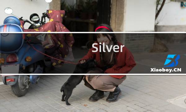 Silver Spring Networks在爱尔兰部署物联网平台