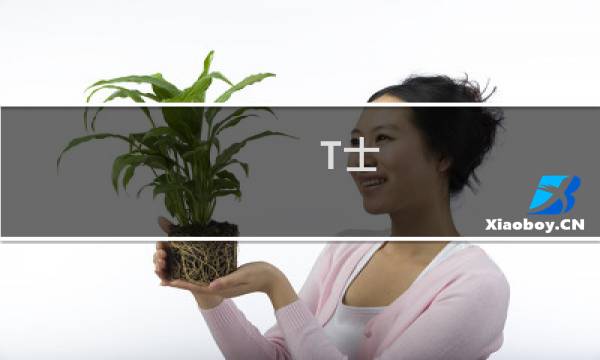 T士 攻略
