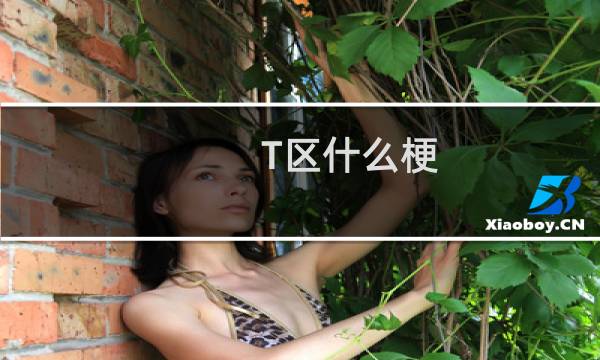 T区什么梗