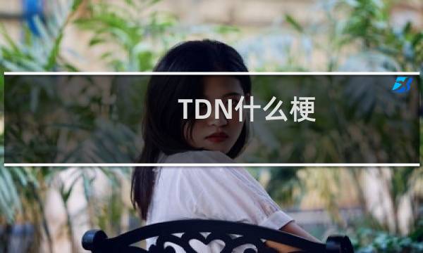 TDN什么梗