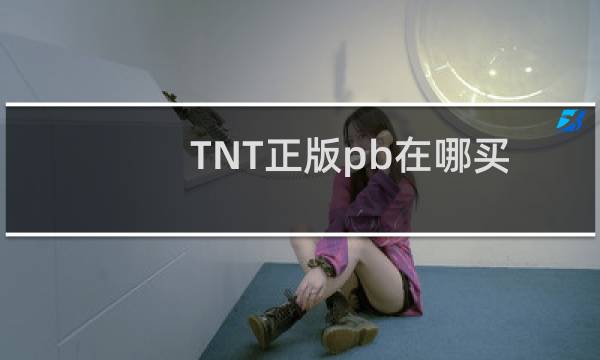 TNT正版pb在哪买