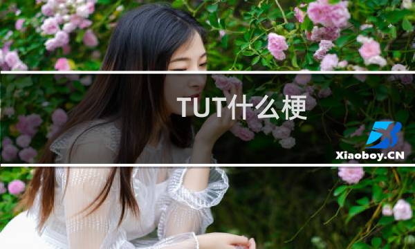 TUT什么梗