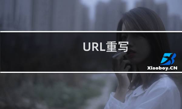 URL重写 麻烦帮我设置下