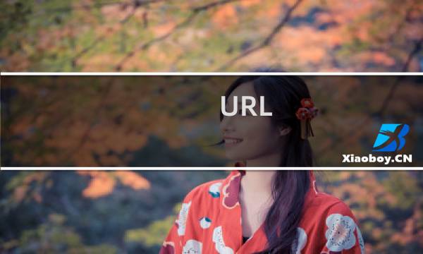URL 重写麻烦帮我设置下