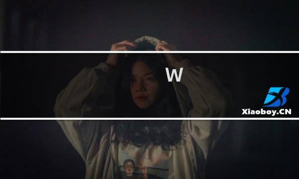 W  攻略