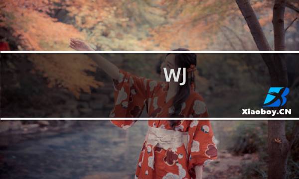 WJ-2以及亚数HK-1集群进行服务升级维护