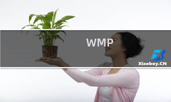 WMP 12播放器通过自带功能隐藏挖挖哇