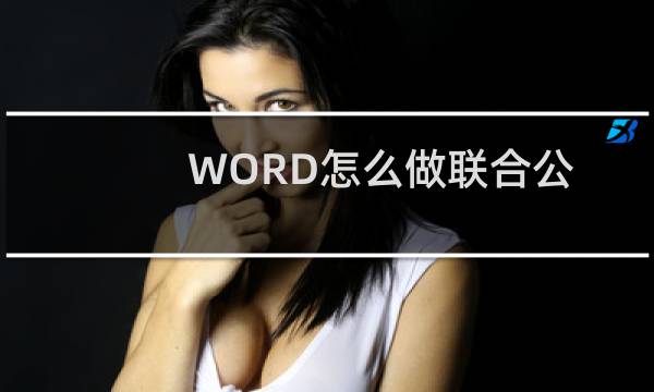 WORD怎么做联合公文头? 联合公文格式编辑方法