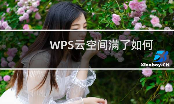 WPS云空间满了如何删除其中的备份文件