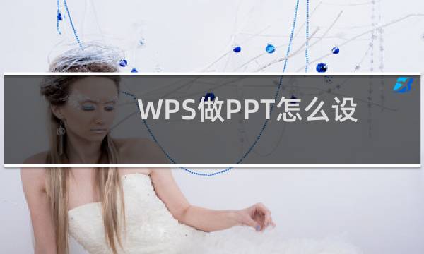 WPS做PPT怎么设置背景图片