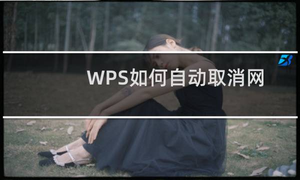 WPS如何自动取消网址超链接