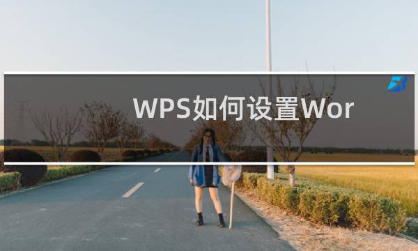 WPS如何设置Word文档标题