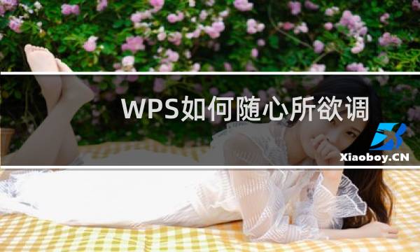 WPS如何随心所欲调整页面版式