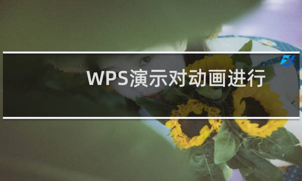 WPS演示对动画进行排序的技巧