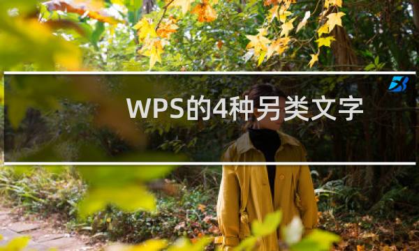 WPS的4种另类文字排版样式
