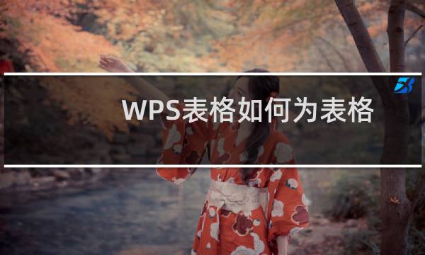 WPS表格如何为表格添加边框