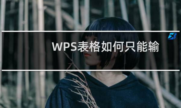 WPS表格如何只能输入指定的内容
