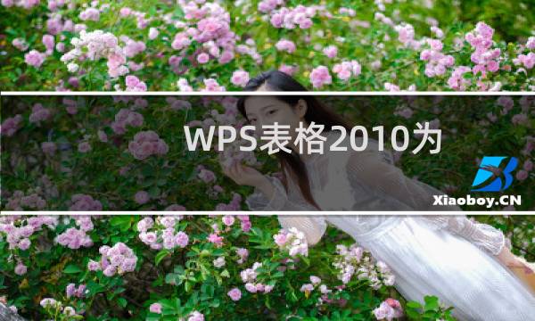 WPS表格2010为表格设置图形背景