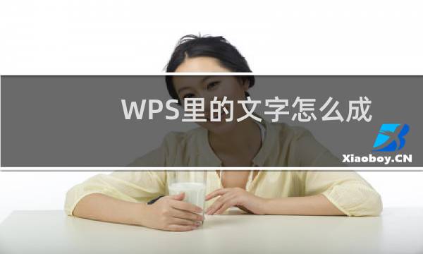 WPS里的文字怎么成了英文