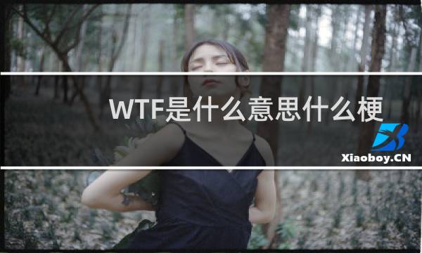 WTF是什么意思什么梗