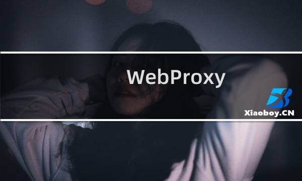 WebProxy.exe - WebProxy是什么进程