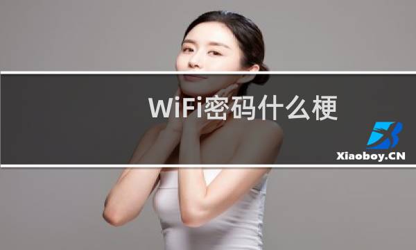 WiFi密码什么梗