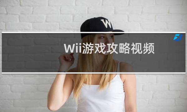 Wii游戏攻略视频