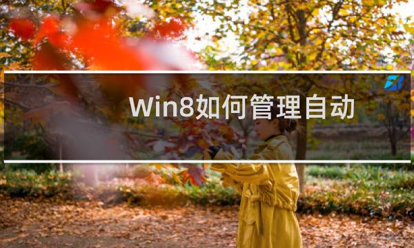 Win8如何管理自动登录的凭据具体该怎么操作