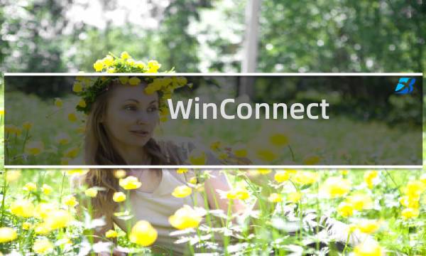 WinConnect Server XP 图文安装教程及使用说明