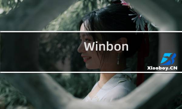 Winbon 83977TF引脚功能定义