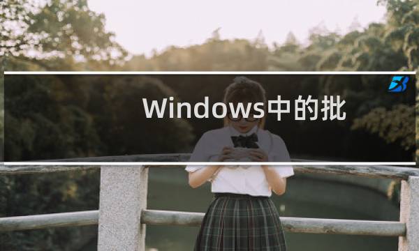 Windows中的批处理的常用符号介绍