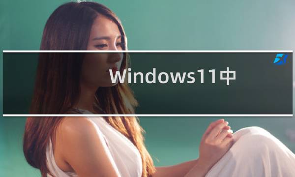 Windows11中文语言包怎么用(使用Windows11中文语言包的方法步骤)