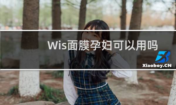 Wis面膜孕妇可以用吗