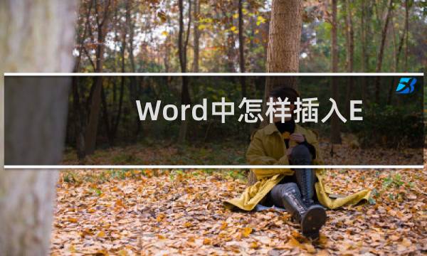 Word中怎样插入Excel表格