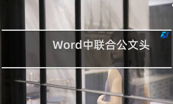 Word中联合公文头制作教程