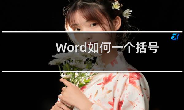 Word如何一个括号内插多个编号