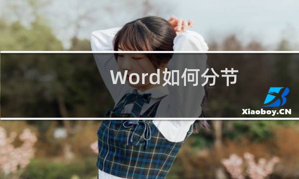 Word如何分节（插入分节符）？【视频】