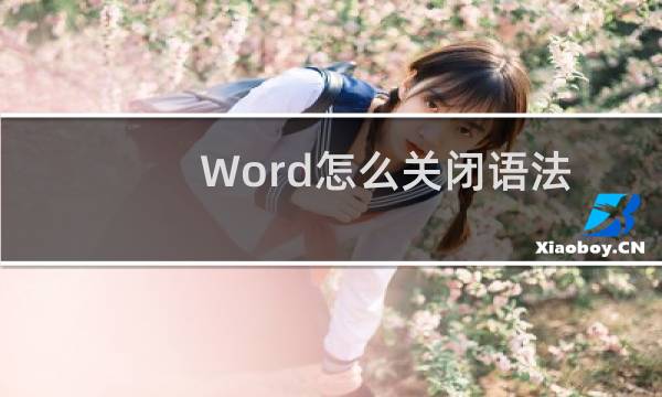 Word怎么关闭语法自检功能