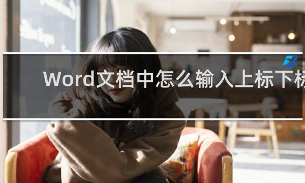 Word文档中怎么输入上标下标