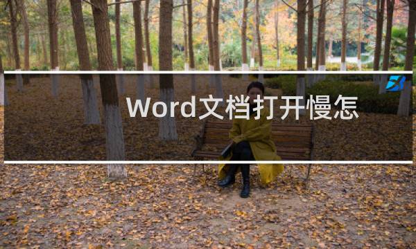 Word文档打开慢怎么办?