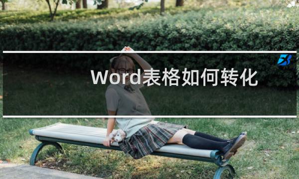 Word表格如何转化为文本